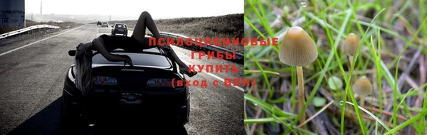 a pvp Алексин