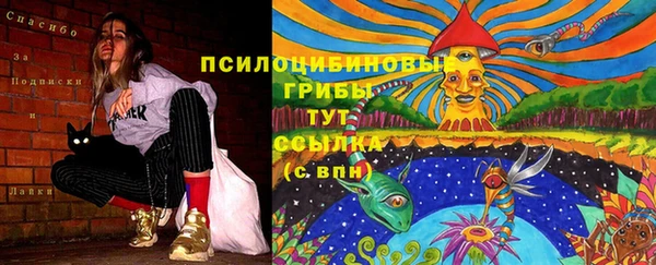 apvp Алзамай