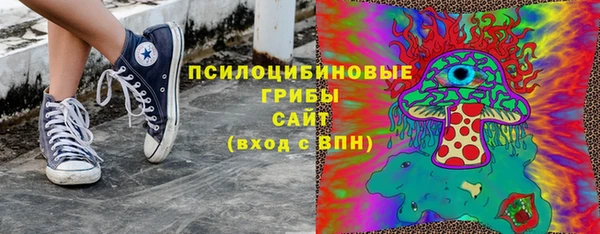 гидра Кулебаки