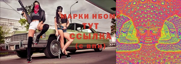 apvp Алзамай
