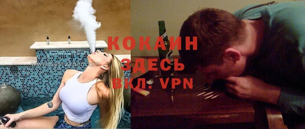 apvp Алзамай