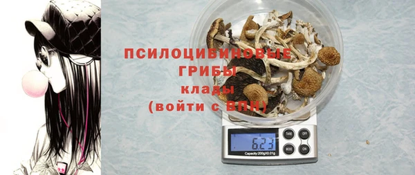 a pvp Алексин