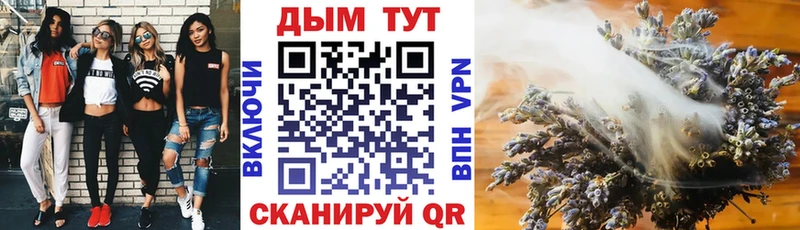 Бошки Шишки ГИДРОПОН  Ветлуга 